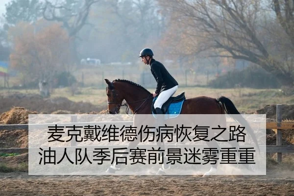 麦克戴维德伤病恢复之路 油人队季后赛前景迷雾重重